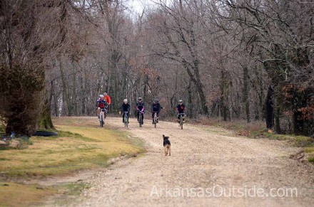 None shall pass... The only dog that barked at riders, that I know of.