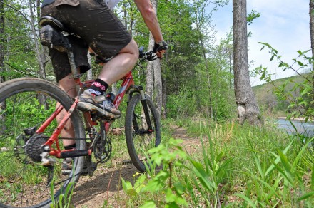 fat bike ozark