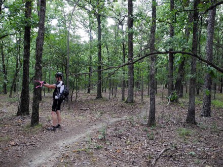 Marking a new entrance trail on the Jackfork. I'll come back soon to actually build the trail.