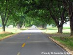 Pecan Grove near Scott, AR