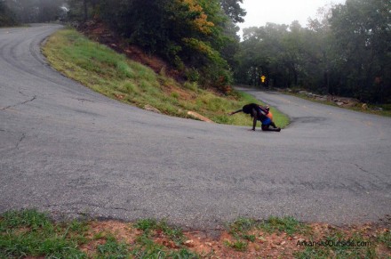 Drastic measures were taken to get back to the top of the mountain.