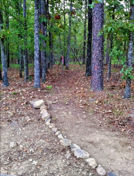 Into or out of the woods, the correct way.
