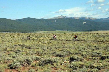 LT100J_0194 Just before the Pipeline Aid Station riders drop off the road onto a bit of singletrack.