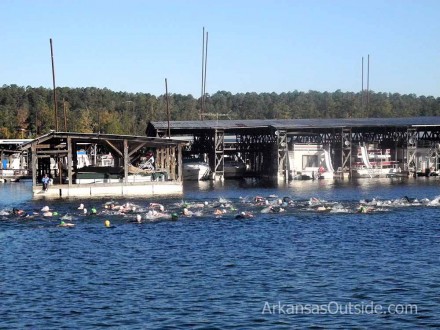 2012-10-27_0000 Feeding frenzy at the marina or triathletes.