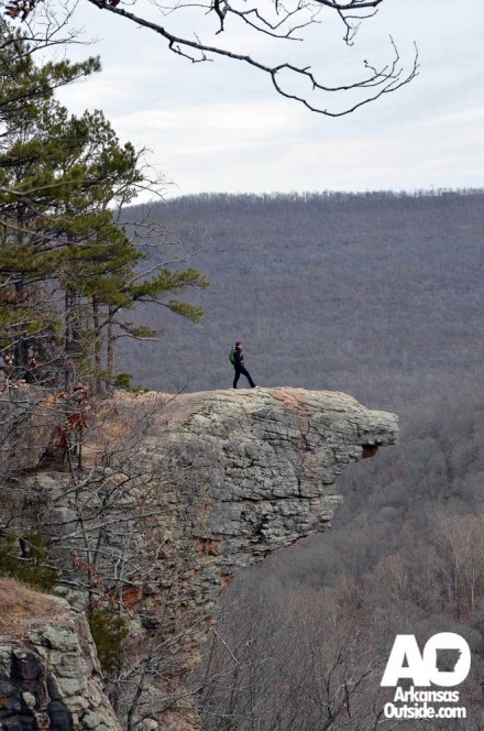 Lisa Takes in The View.