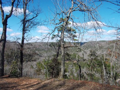 Big views this time of year.