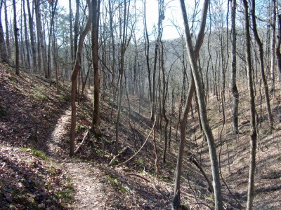 The trail rolls along for much of the run.