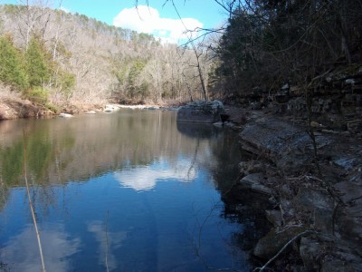 Running along the creek on a beautiful day.