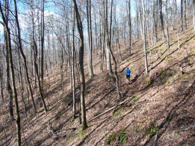Runners taking a hill.