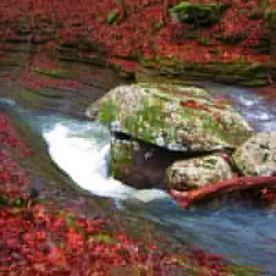 Hikers in the group had to carefully watch their footing along the edge of Bear Creek. Slipping off the rocks into the icy current could prove fatal.