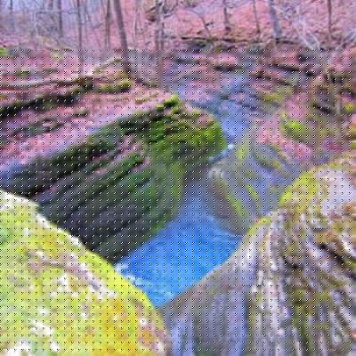 Over eons, Bear Creek has carved this path through solid rock. In some places the water roars as it pours over the ledges.
