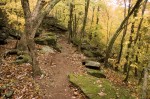 Beautiful Trail