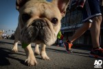 A strong attempt to smudge the camera lens.