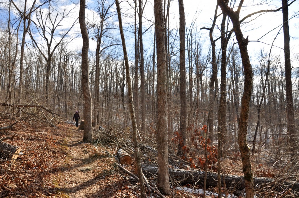 KingsBluff King's Bluff Trail