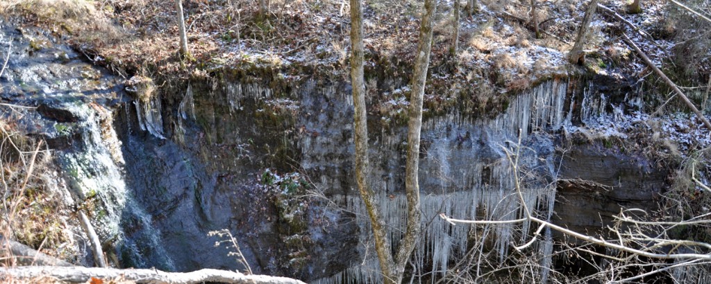 KingsBluff02 Icicles on the King's Bluff Trail