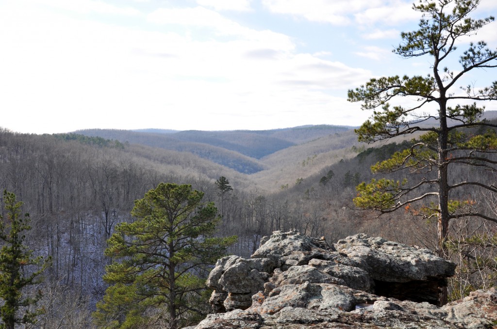 King's Bluff Trail looking West View from King's Bluff Trail looking West