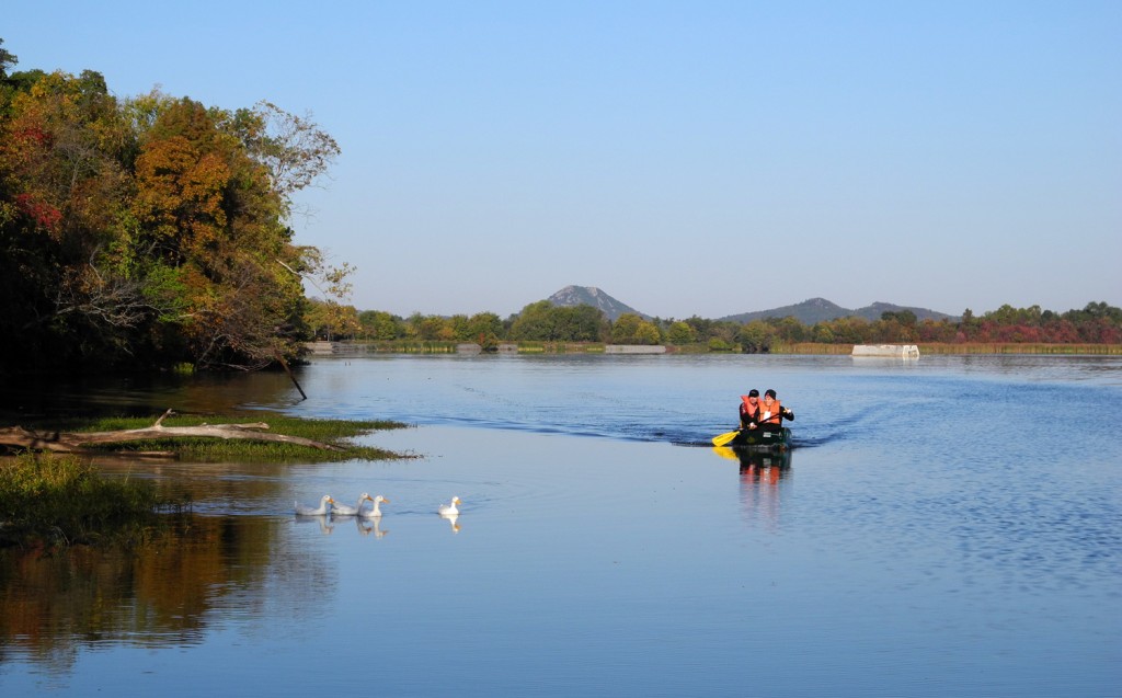 Boat Ramp Local wildlife comes out to escort the leading team into the transition. (Pinnacle Mountain in the background)