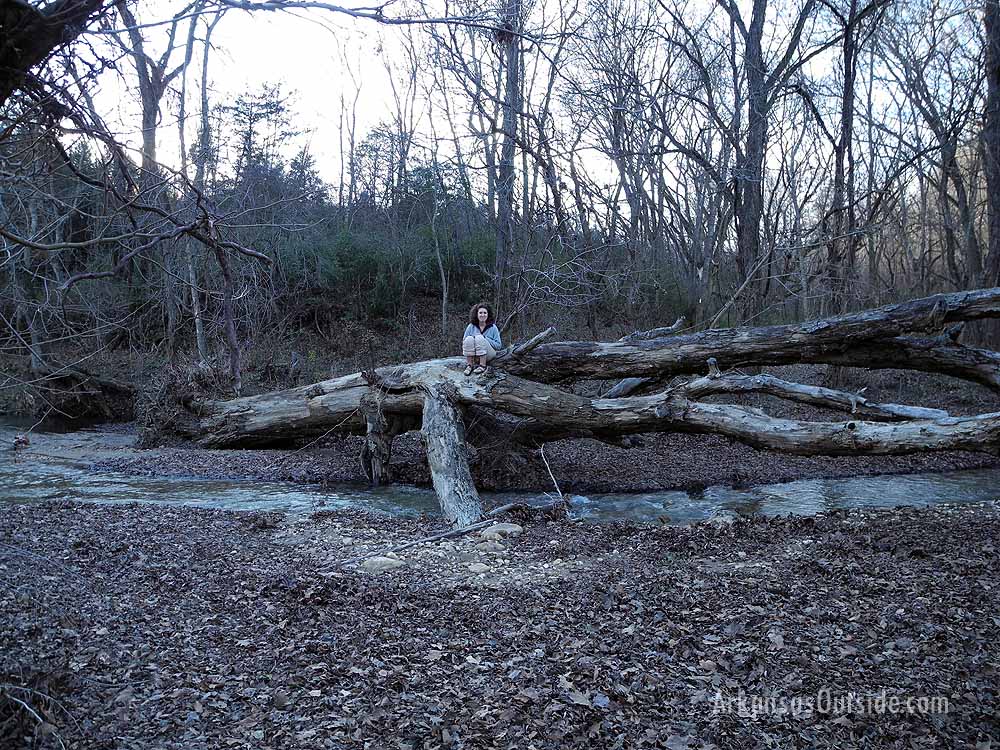 McKenna found a downed tree to perch on and watch the river flow by.