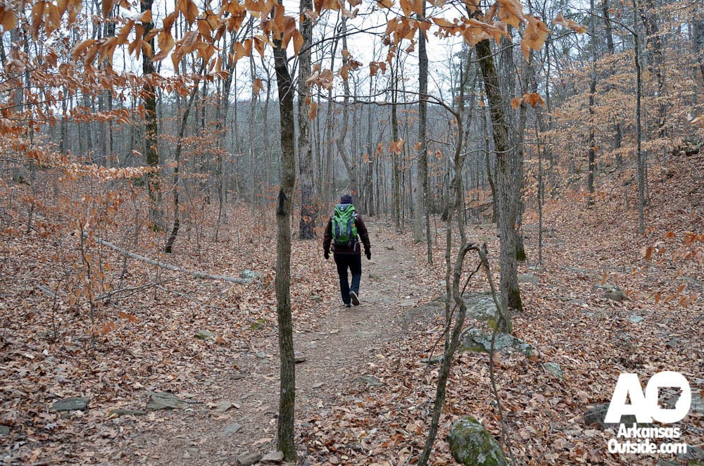 HawksbillCrag-9 The Hike In.