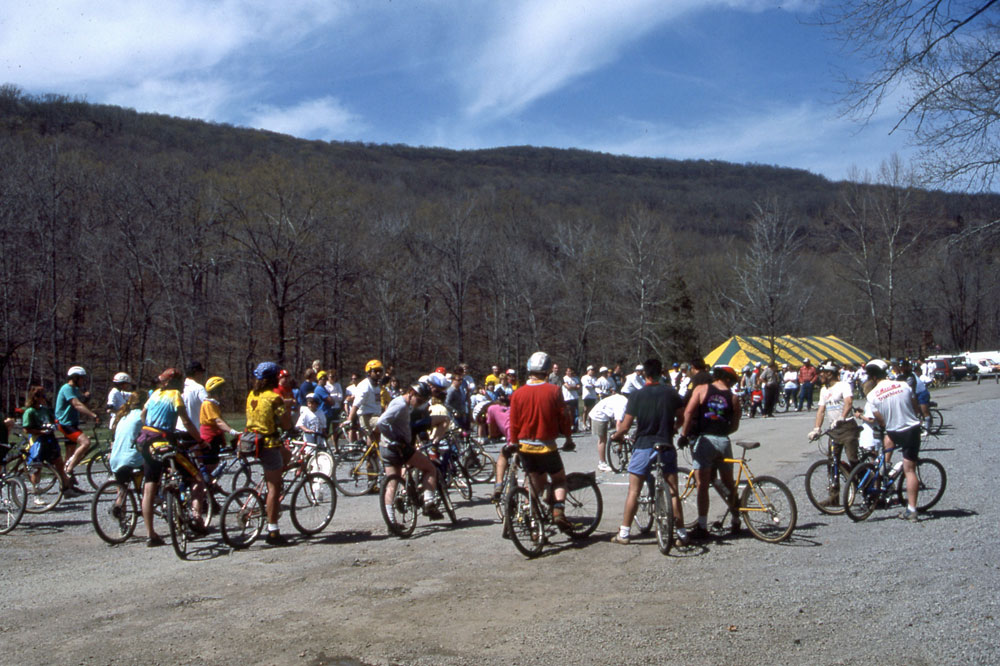 Cyclists watching the "Log Pull" event.