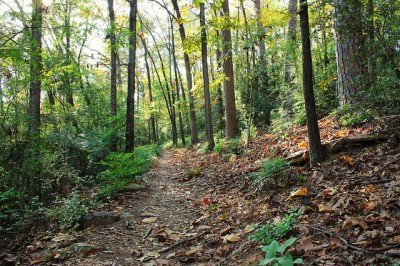 Allsop Park Trail, near downtown Little Rock.