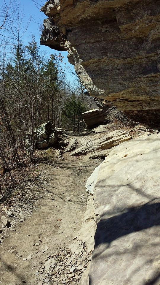 Hitting the trail.