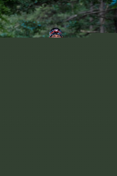 Full mOOn 50K/25K @ Camp Ouachita | Paron | Arkansas | United States