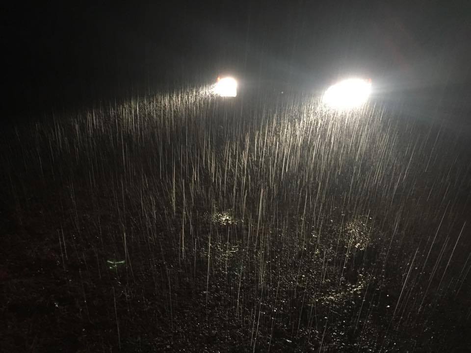 What the night looked like if you put a light on it.