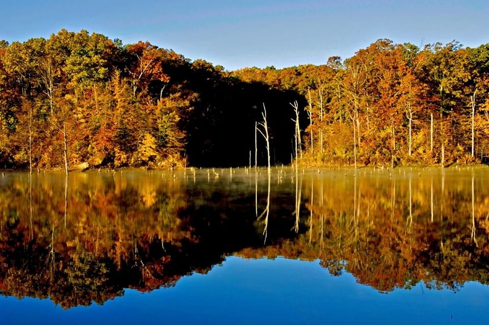 Village Creek State Park (photo courtesy of Arkansas Parks and Tourism)