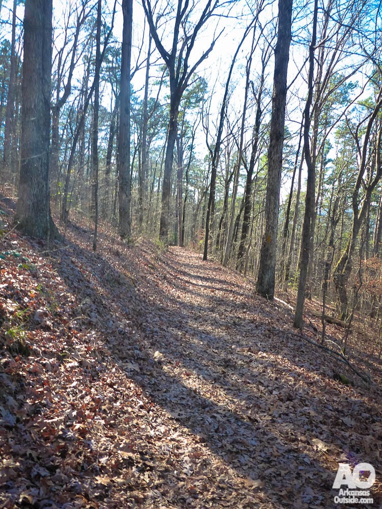 Down the Upper Dogwood Trail.