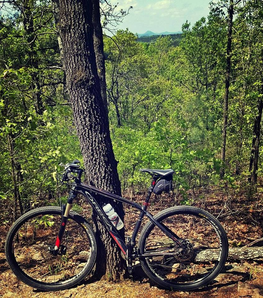 The view of Pinnacle Mountain from the Gary's Little Lamb Trail.