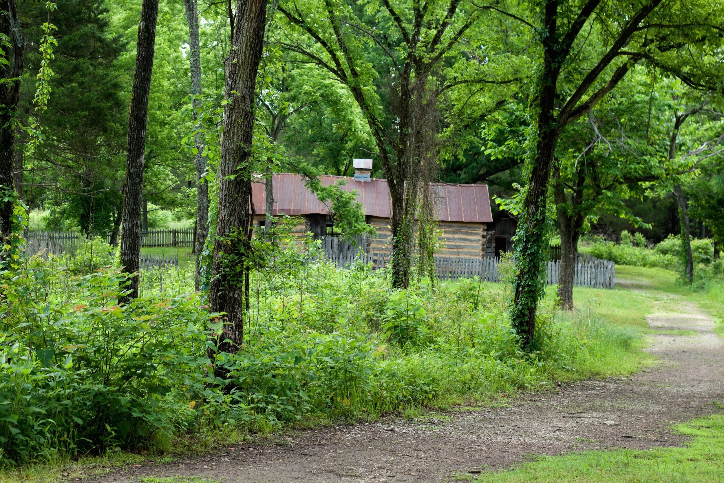 Trail near Sod Collier Homestead at Tyler Bend. (Fondriest/NPS Photo)