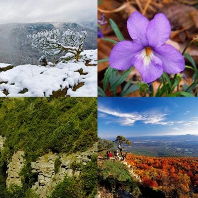 Four Seasons at Mount Magazine State Park, Arkansas.