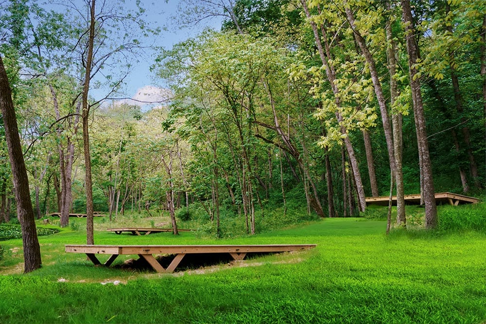 Tent Platforms at Coler Mountain Bike Preserve