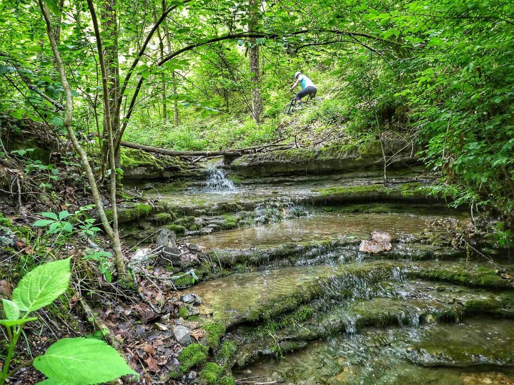 Tunnel Vision Trail in Bella Vista, Arkansas