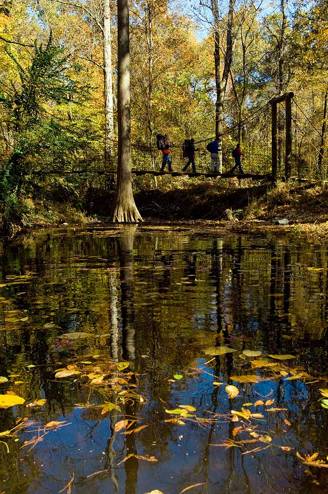 Cane Creek Lake Trail - Seven of our Favorite Fall Hikes in Arkansas