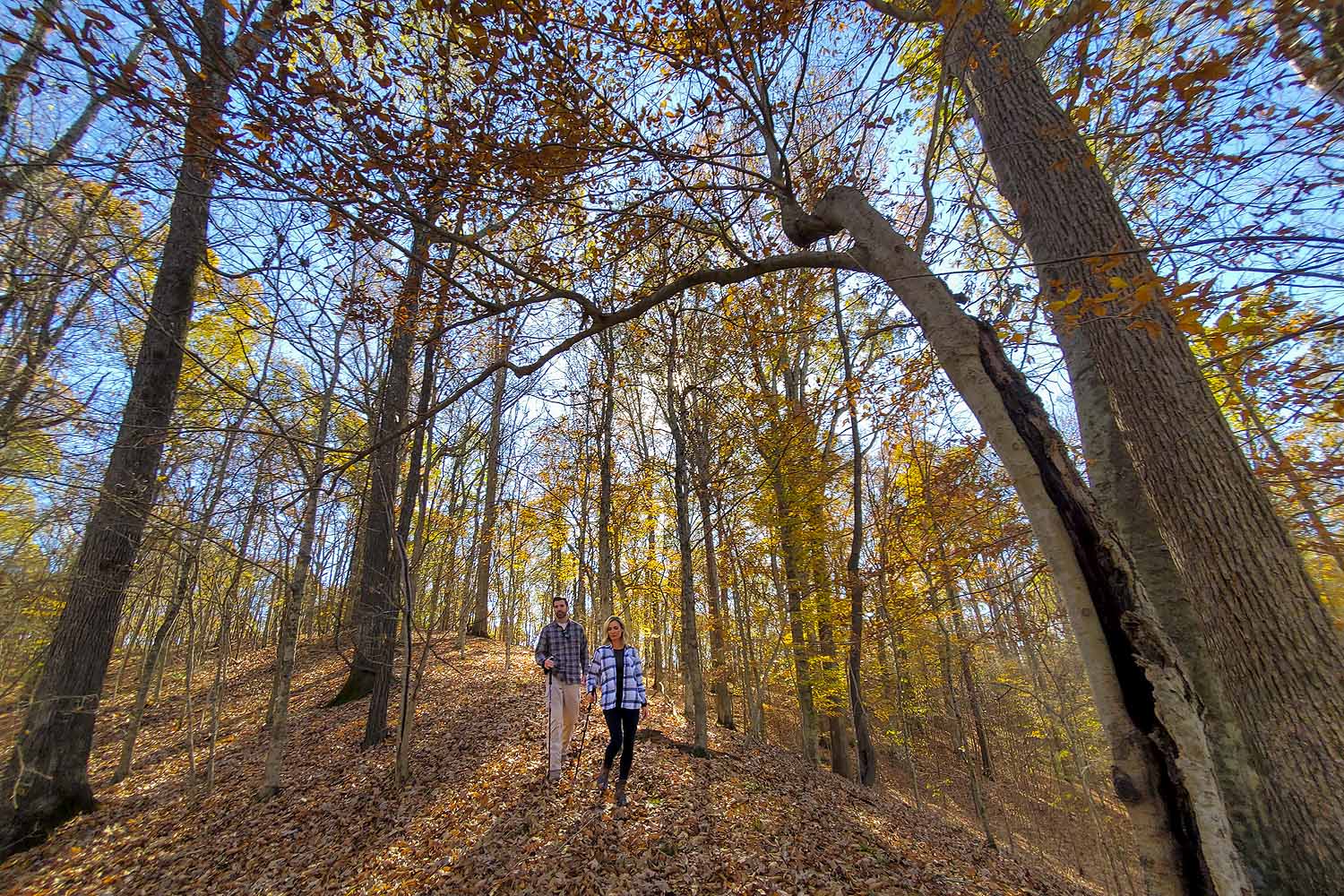 Village Creek State Park - Seven of our Favorite Fall Hikes in Arkansas