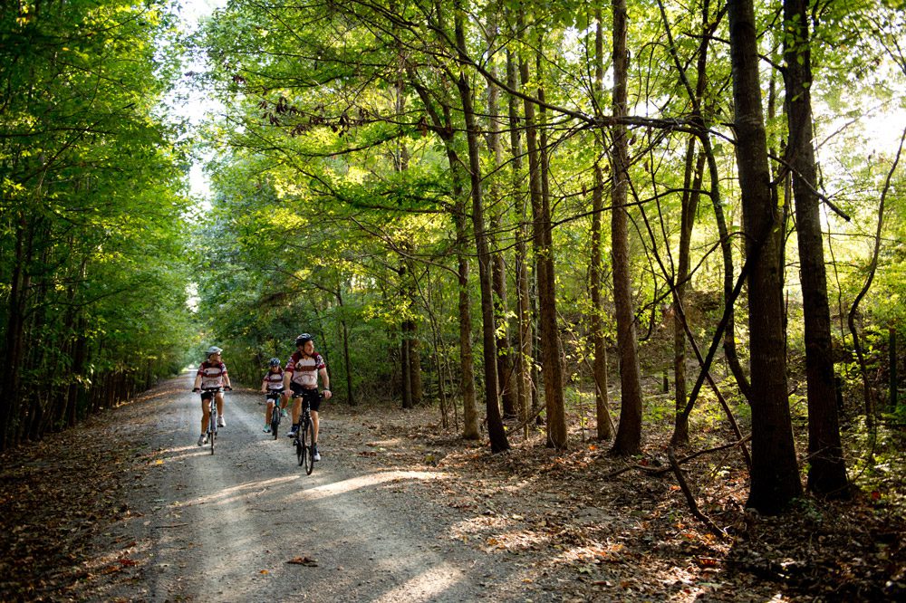 The trail has a lot of canopy and a beautiful trail bed for hiking, cycling, and trail running.