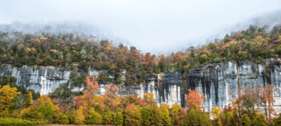 Buffalo National River Roark Bluff