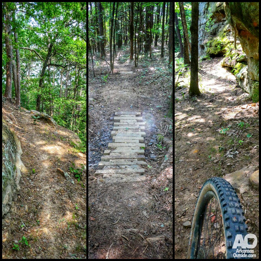 A few shots from the trail